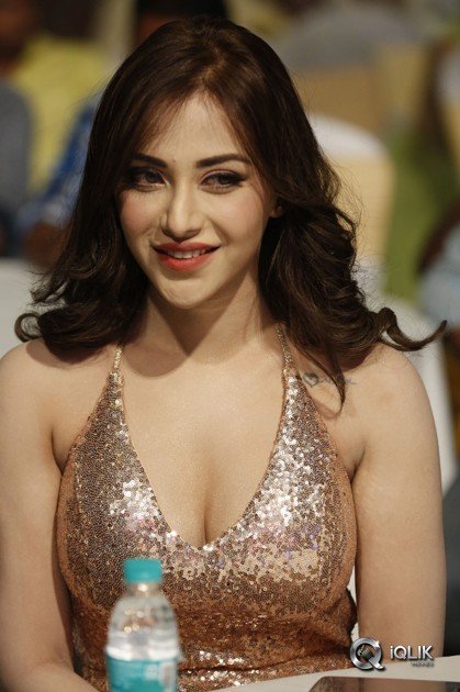 Rogue-Movie-Audio-Launch